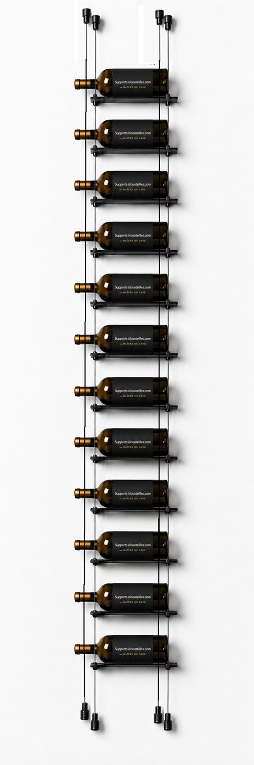 bouteilles de vin suspendues