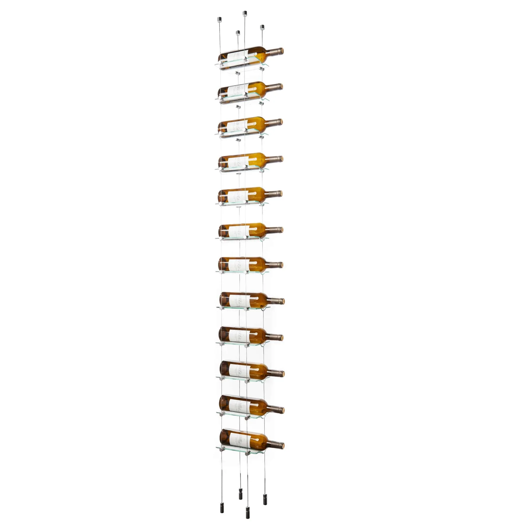 bouteilles de vin suspendues